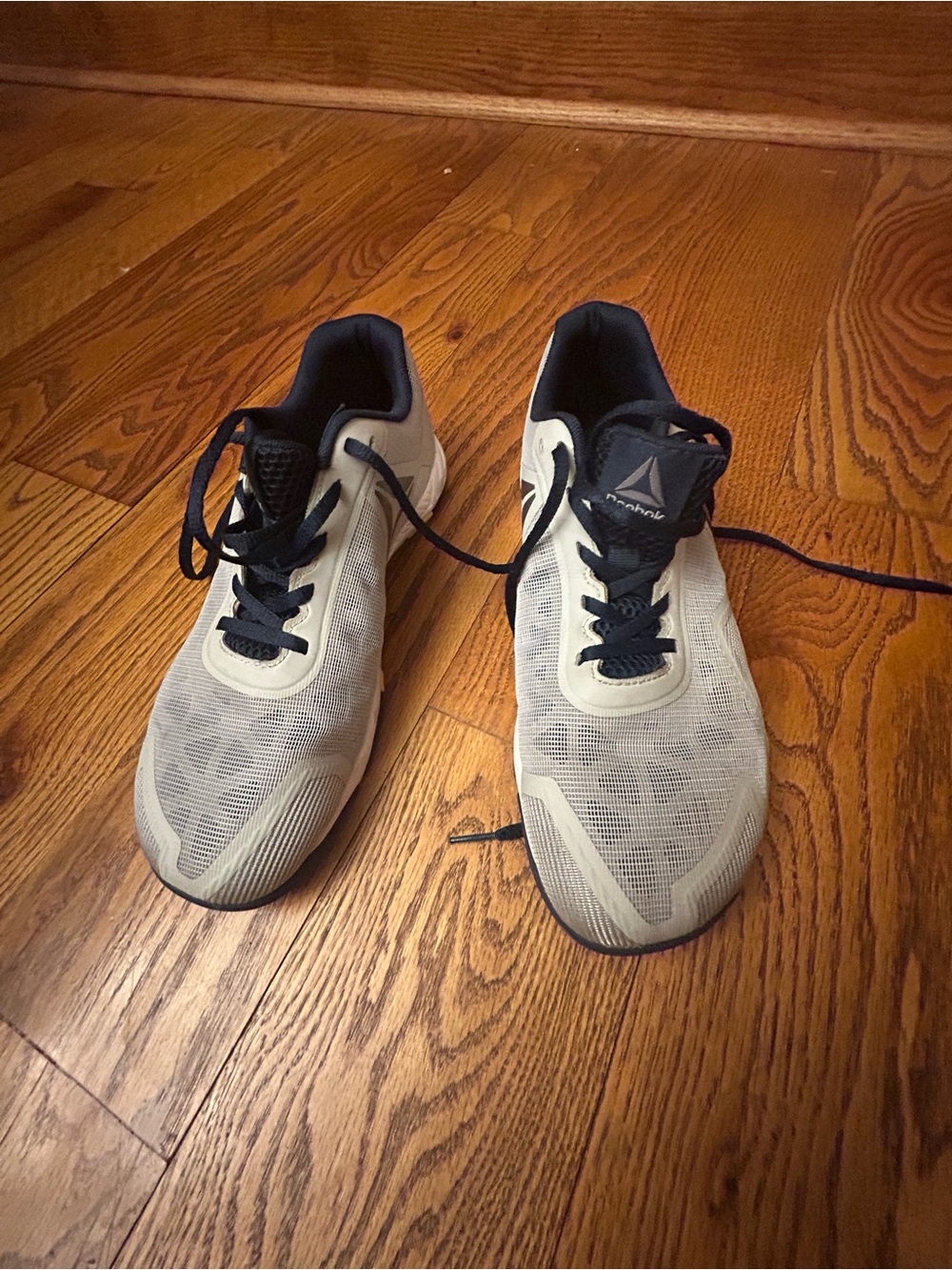 Reebok Men’s Training Sneakers in Light Gray and Black